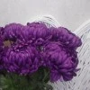 Artificial Flowers Bloom Chrysanthemums Purple 82cm - C259 