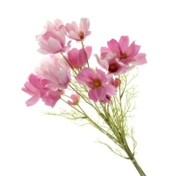 Artificial Coreopsis Bundle Magenta Pink 62cm - C036 C1