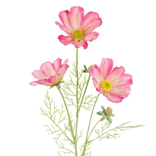 Carousel Cosmos Pink Yellow 64cm - C093 EE1