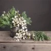 Artificial Cosmos Plants Cream 36cm - C078 BX8