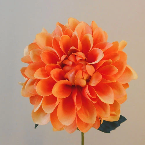 Artificial Dahlia Flowers Carnival Orange 45cm - D029 D3