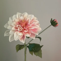 Real Touch Dahlia Pale Pink 59cm - R089