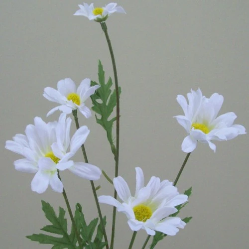 Silk Daisy Stem 69cm - D045 C3