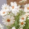 Silk Daisies | Large Artificial Field Daisy 64cm - D016 E2
