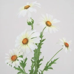Silk Daisies | Large Artificial Field Daisy 64cm - D016 E2
