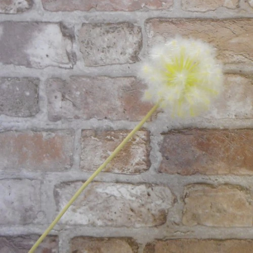 Artificial Dandelion Clock Meadow Flowers 50cm - D003 D4