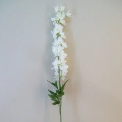 Cream Silk Delphiniums or Larkspur 90cm - D112 B4