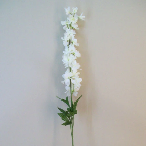 Cream Silk Delphiniums or Larkspur 90cm - D112 B4