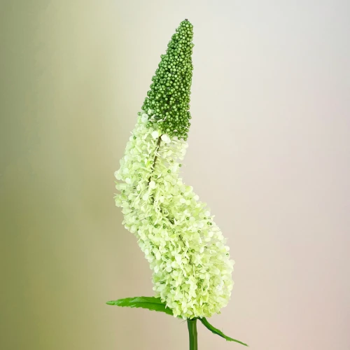 Artificial Eremurus | Foxtail Lilies - E018