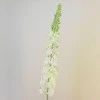 Artificial Eremurus | Foxtail Lilies 105cm - E010 E1