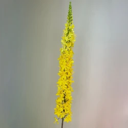 Artificial Eremurus | Foxtail Lilies Yellow 109cm - E001 R2