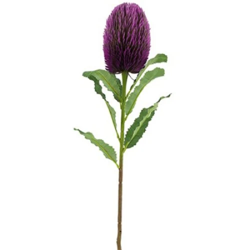 Artificial Banksia Flowers Purple 64cm - B030 B3