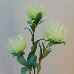 Rydal Artificial Leucospermum Protea Green 82cm - L035 J1