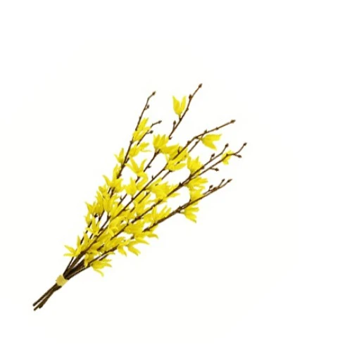 Artificial Forsythia Bundle 52cm - F013 E2