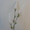 Artificial Fox Tail Flowers Cream 70cm - F061 G3