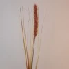 Artificial Fox Tail Flowers Rust 69cm - F062 AA3