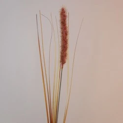 Artificial Fox Tail Flowers Rust 69cm - F062 AA3