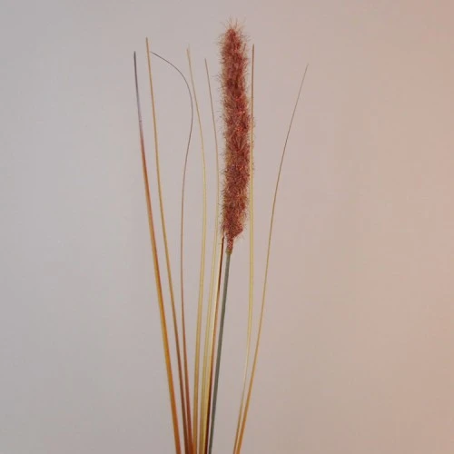 Artificial Fox Tail Flowers Rust 69cm - F062 AA3