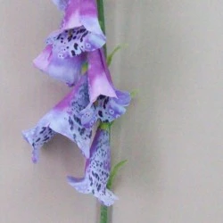 Artificial Foxgloves Purple 107cm - F049 R3