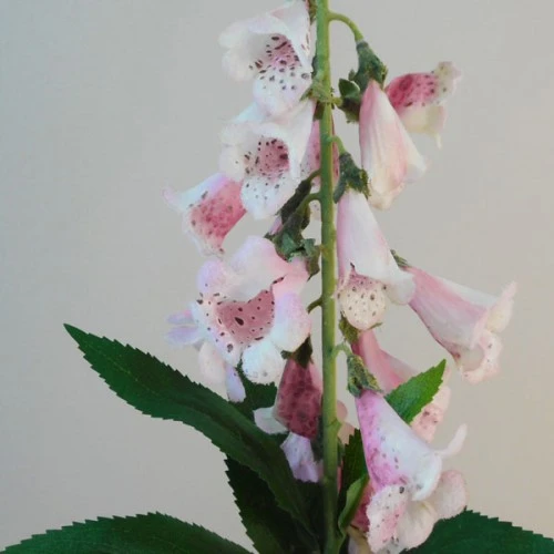 Artificial Foxgloves Pale Pink 98cm - F069 I4