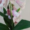 Artificial Foxgloves Pale Pink 98cm - F069 I4