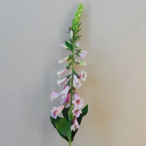 Artificial Foxgloves Pale Pink 98cm - F069 I4