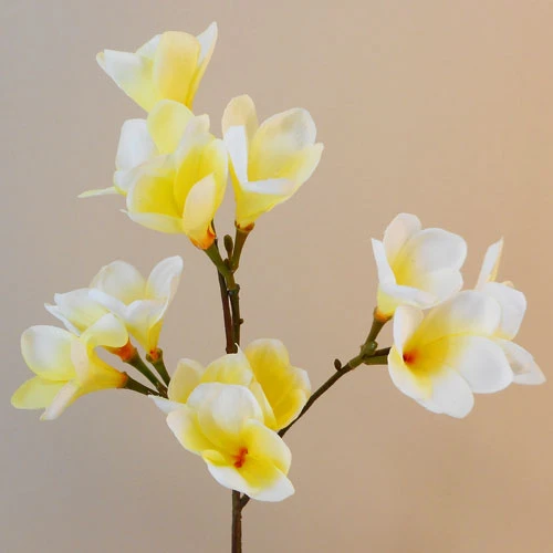 Artificial Frangipani Lemon 65cm - F008 F2