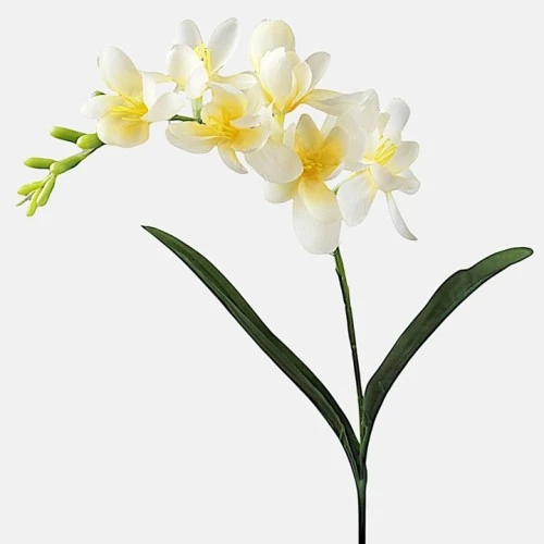 Freesias Stem Lemon 56cm - F022 