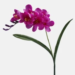 Freesias Stem Magenta Pink 56cm - F029 H1