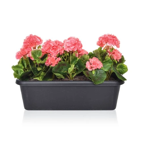 Artificial Plants Pink Geraniums in Black Trough - PLA001 5C