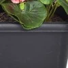 Artificial Plants Pink Geraniums in Black Trough - PLA001 5C