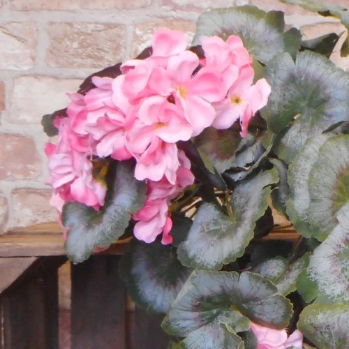 Trailing Artificial Geraniums Plants Pink 77cm - G081 P4