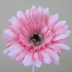 Artificial Gerbera Baby Pink Small 57cm - G136 E2