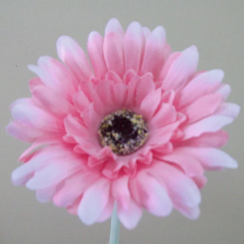 Artificial Gerbera Baby Pink Small 57cm - G136 E2