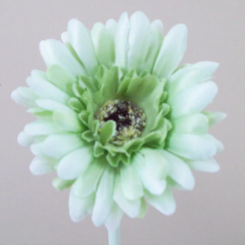 Artificial Gerbera Mint Green Small 57cm - G135 F2