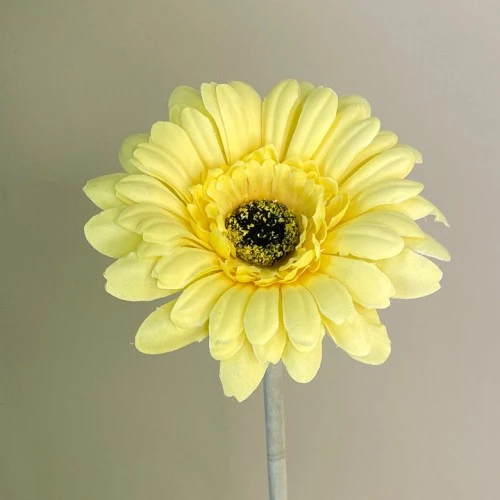 Artificial Gerbera Yellow 53cm - G098 F2