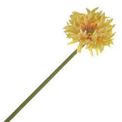 Calypso Gerbera Pasta Limone Yellow 55cm - G067 E3