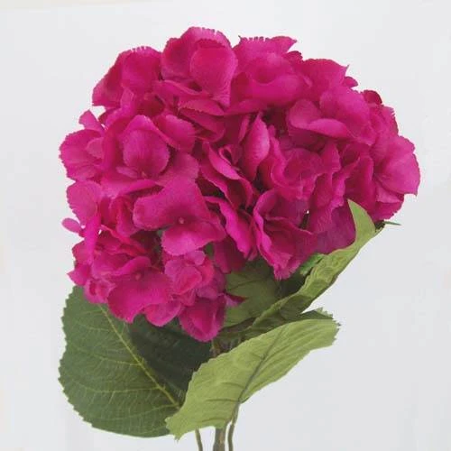 Giant Silk Hydrangeas Hot Pink 64cm - H009 H1