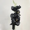 Artificial Gladiola Black 54cm - G089 H2