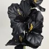 Artificial Gladiola Black 54cm - G089 H2