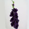 Artificial Gladiola Damson 94cm - G034 