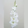 Artificial Gladiola Ivory 94cm - G035 