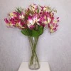 Artificial Gloriosa Flame Lily Pink and White 80cm - G012 E1