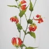 Silk Gloriosa Flame Lily Orange 98cm - G010C F3