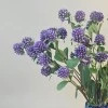Gomphrena Bundle Purple 47cm - G023 B3