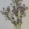 Artificial Gypsophila Aubergine Purple Baby's Breath - G022 D2