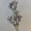 Artificial Gypsophila Aubergine Purple Baby's Breath - G022 D2