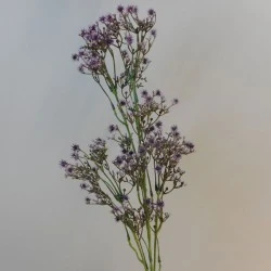 Artificial Gypsophila Aubergine Purple Baby's Breath - G022 D2