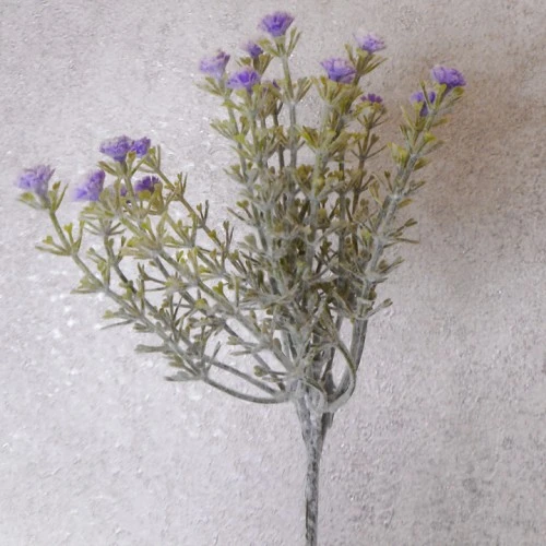 Gypsophila Purple Short Stem 32cm - G025 E2