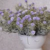 Gypsophila Purple Short Stem 32cm - G025 E2